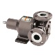 Blackmer E Series Gear Pump - 2