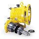Blackmer LD17 Bearing Pump