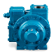 Blackmer GNX Sliding Vane Pump Front-Facing