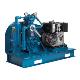 Blackmer LB160 Series Reciprocating Gas Compressors