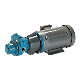Blackmer LGF1E Sliding Vane Pump