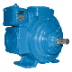 Blackmer LGL3021 Sliding Vane Pump