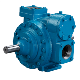 Blackmer LGLD2-4 Sliding Vane Pump_1