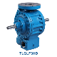 Blackmer TLGLFHD_01