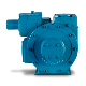 Blackmer Magnes Sliding Vane Pump
