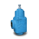 Blackmer Ebsray RV Series Bypass Valve