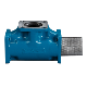 Blackmer Strainer_1