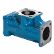 Blackmer Strainer_2-5