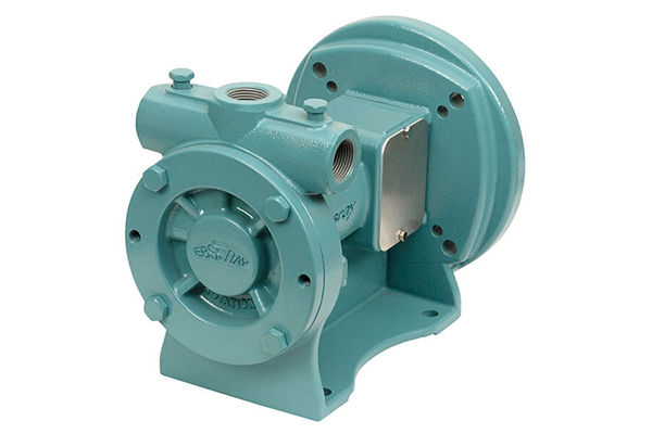 card-Ebsray-R20-and-R25-Regenerative-Turbine-Pump-LR