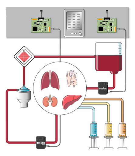 Organ perfusion system chart