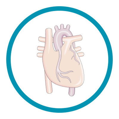 Heart-Lung Machine (HLM) Icon