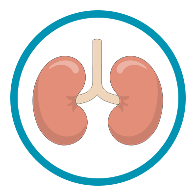 Dialysis/Hemodialysis Icon