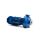 Griswold Close-Coupled Centrifugal Pumps - 811CC Series