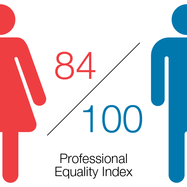 Equality Index Graphic - EN