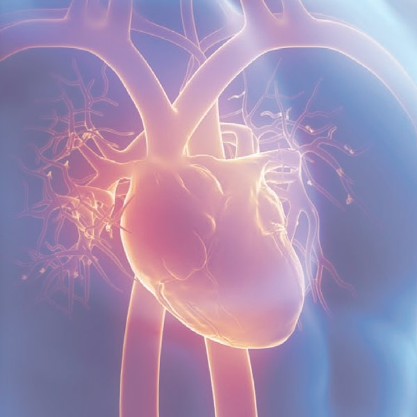 Quattroflow Technology Heart