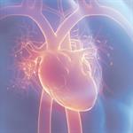 Quattroflow Technology Heart Quattroflow Technology Heart