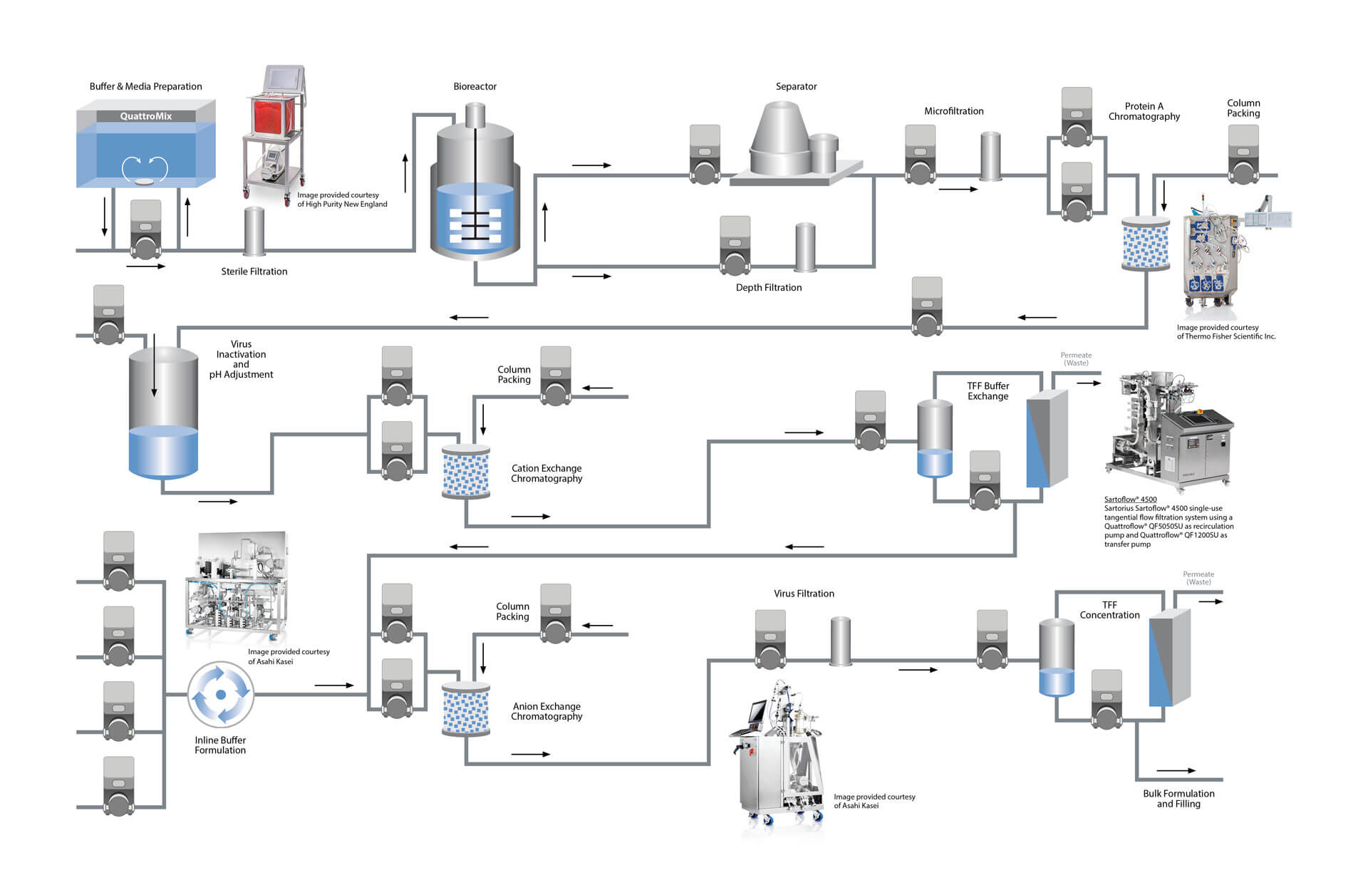 BioPharma Processing Chart