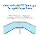 Wilden AODD Double Diaphragm Pump - Reduced-Stroke PTFE Diaphragms