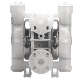 Wilden AODD Double Diaphragm Pump - 25 mm (1 in.) - Pro-Flo Clamped Plastic - P2